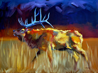 Meadow Bull Elk Canvas Artwork by Diane Whitehead