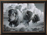 Wild Buffalo Run - Muy Macho Framed Art Prints by Dallen Lambson