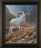 Dallen Lambson - The Great White Framed canvas print