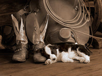 Cowboy Puppy Sepia by Robert Dawson