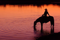 Texas Sunset by Robert Dawson