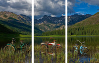 Piney Lake Triptych by Todd Van Fleet