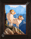 Alaskan Gold – Framed Giclee Canvas by Tom Mansanarez