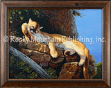 Cats Bath – Framed Giclee Canvas by Tom Mansanarez