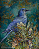 Blue Jay or Blue Bird Art Prints by Vickie McMillan-Hayes
