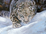 Stealthy Approach Leopard Art Prints by Vickie McMillan-Hayes