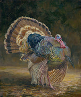 Wild at Heart Turkey Strutting Artwork by Vickie McMillan-Hayes