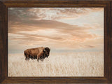 Custom Framed Giclee Canvas art prints by Teri James Photography Artist
