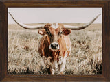 Close and Personal Custom Framed Giclee Canvas art prints by Teri James Photography Artist