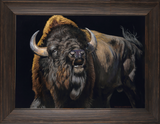 Bad to the Bone - American Buffalo Bison Custom Framed Giclee canvas art prints by Dallen Lambson