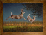 Downwind Retreat Deer Framed Giclee canvas artwork by Dallen Lambson