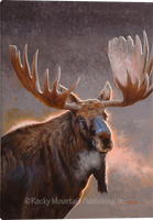 Early Morning Majesty Moose Gallery Wrapped Giclee Canvas art prints by Dallen Lambson