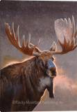 Early Morning Majesty Moose Gallery Wrapped Giclee Canvas art prints by Dallen Lambson