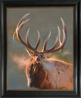 Evening Ivories Elk Custom Framed Giclee Canvas Art Prints by Dallen Lambson
