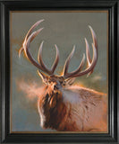 Evening Ivories Elk Custom Framed Giclee Canvas Art Prints by Dallen Lambson
