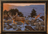 Chasing Gold Wildlife Custom Framed Giclee canvas art prints by Dallen Lambson Artist