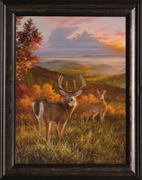 Glory Custom Framed Deer Canvas Art Prints by Dallen Lambson