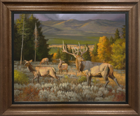 Wilderness Royalty Elk Custom Framed Giclee canvas art prints by Dallen Lambson