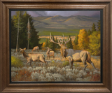 Wilderness Royalty Elk Custom Framed Giclee canvas art prints by Dallen Lambson