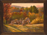 Seein' Red Deer fighting Custom Framed Giclee Canvas Wildlife art Prints by Dallen Lambson Artist