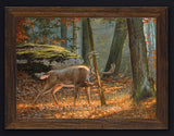 Tree Hugger Deer Framed Canvas art prints by Dallen Lambson