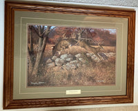 Hayden Lambson Wildlife Art Prints available Gallery4Collectors.com