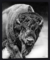 Wildlife Animal Art Prints on sale at Gallery4Collectors.com Wildlife Animal Art Prints on sale at Gallery4Collectors.com