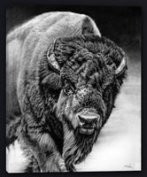 Heavyweight American Bison Artwork by Joel Pilcher