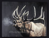 Royal Persuasion Elk Art Gallery Wrapped Canvas Print by Joel Pilcher