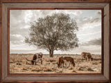 Custom Framed Longhorn Tree Giclee Canvas art prints by Teri James Photo Artist