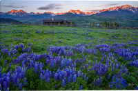 Summit County Sunrise Gallery Wrapped Giclee Canvas Artwork by Mickey Shannon