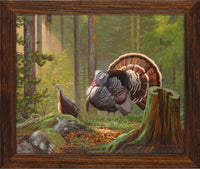 Wild Turkey artwork Making His Move Framed Giclee Canvas by Dallen Lambson