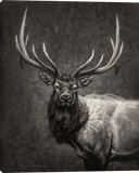 Before the Stillness Breaks Elk Portrait Black and White Giclee Canvas art prints by Mark McKenna