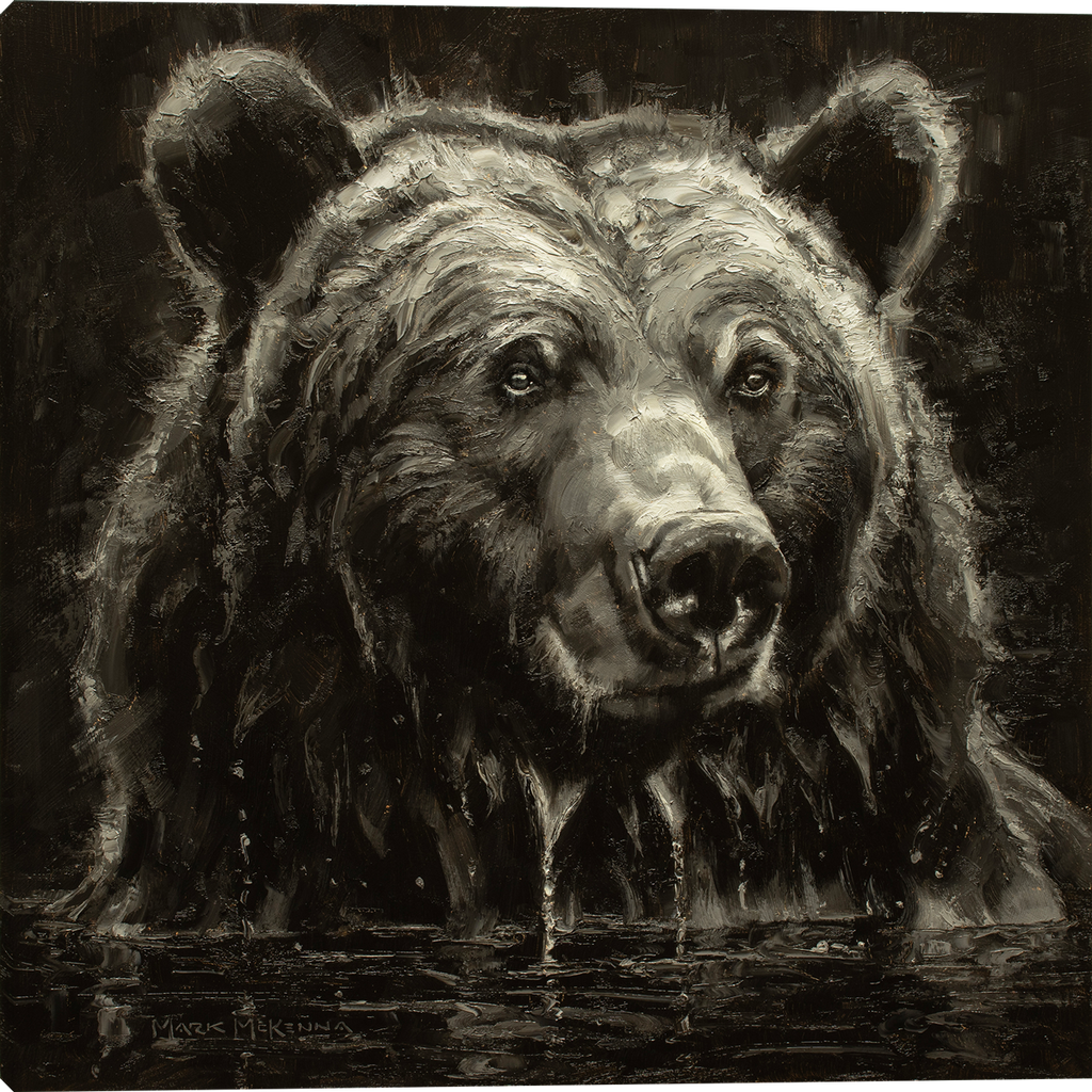 Dip and Drip Black and White Portrait of big bear in water!!  Artwork by Mark Mckenna artist!