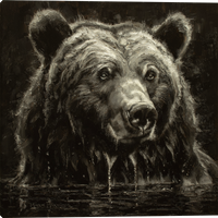 Dip and Drip Black and White Portrait of big bear in water!!  Artwork by Mark Mckenna artist!