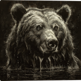 Dip and Drip Black and White Portrait of big bear in water!!  Artwork by Mark Mckenna artist!
