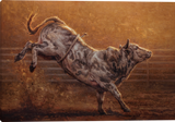 Man in the Arena Bull Rodeo Gallery Wrapped Giclee Canvas art prints by Mark McKenna