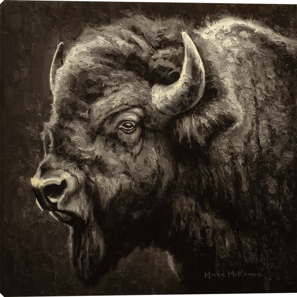 Rising Star Buffalo Gallery Wrapped Canvas art prints by Mark McKenna Artist