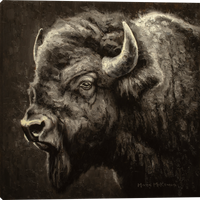 Rising Star Buffalo Gallery Wrapped Canvas art prints by Mark McKenna Artist