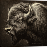 Rising Star Buffalo Gallery Wrapped Canvas art prints by Mark McKenna Artist