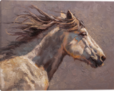 Unbridled Gallery Wrapped giclee canvas art prints by Mark Mckenna artist.  