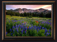 Albion Basin Utah Landscape Artwork Giclee Canvas by Mickey Shannon