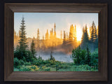 Custom Framed Giclee Canvas Print Sunbeam Sunrise by Mickey Shannon