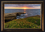 Custom Framed Giclee Canvas Art Sunset Cliffs of San Diego CA