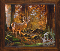 Paying Homage - Custom Framed Deer Artwork by Dallen Lambson