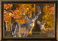 Prestige Male Deer & Doe in Autumn Dallen Lambson Wildlife framed artwork