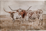 Rustic Pairing Longhorn Cattle Gallery Wrapped Giclee canvas art prints by Teri James Photo Artist