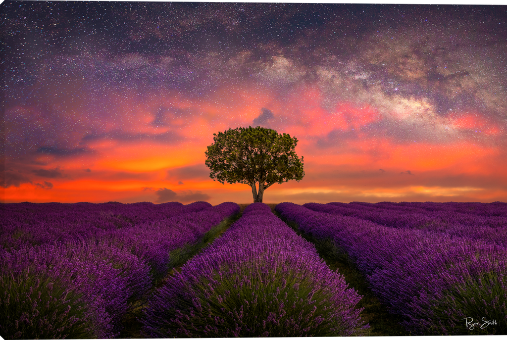 Field of Dreams Gallery wrapped giclee canvas art print by Ryan Smith Artist