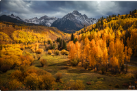 Golden Meadows Giclee gallery wrapped canvas art prints by Ryan Smith