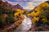 River of Gold Gallery Wrapped Giclee Canvas Art Print by Ryan Smith Artist